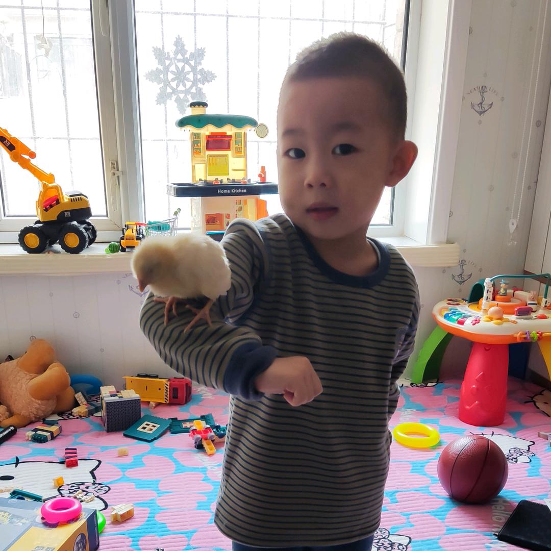 琳家小仆