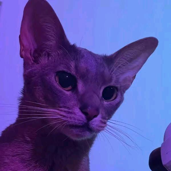 袁小班