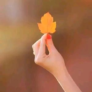 渡