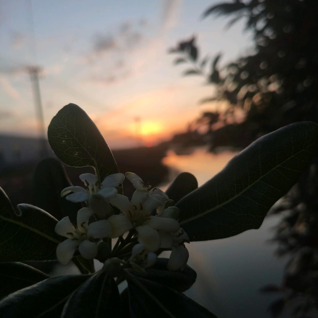 衬暮