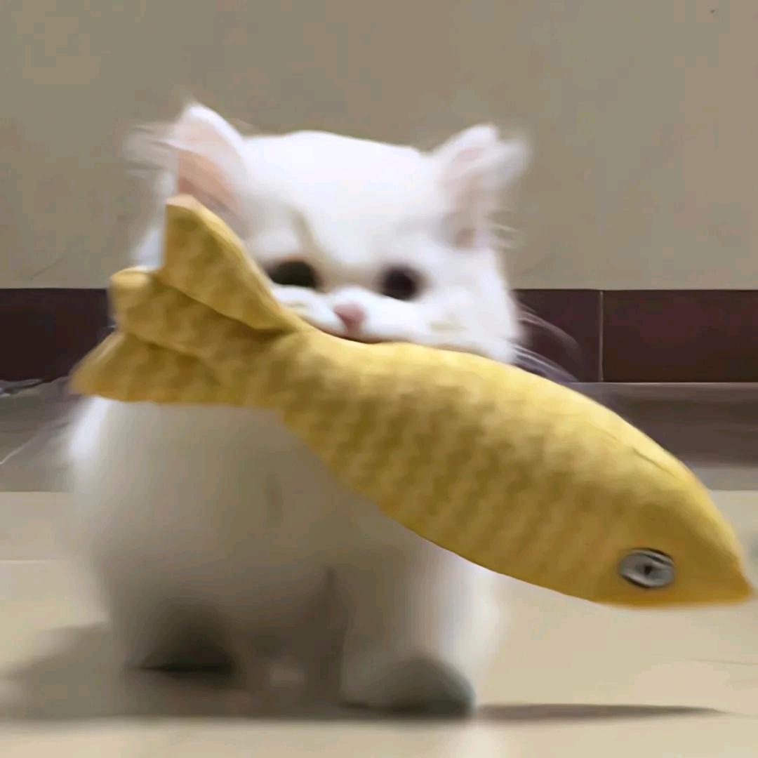 小孟十八岁