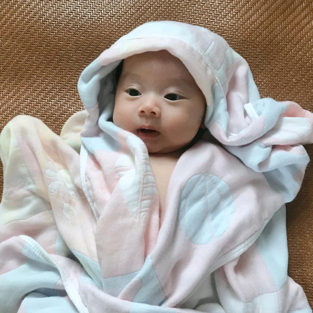 小麦芽🌾听故事