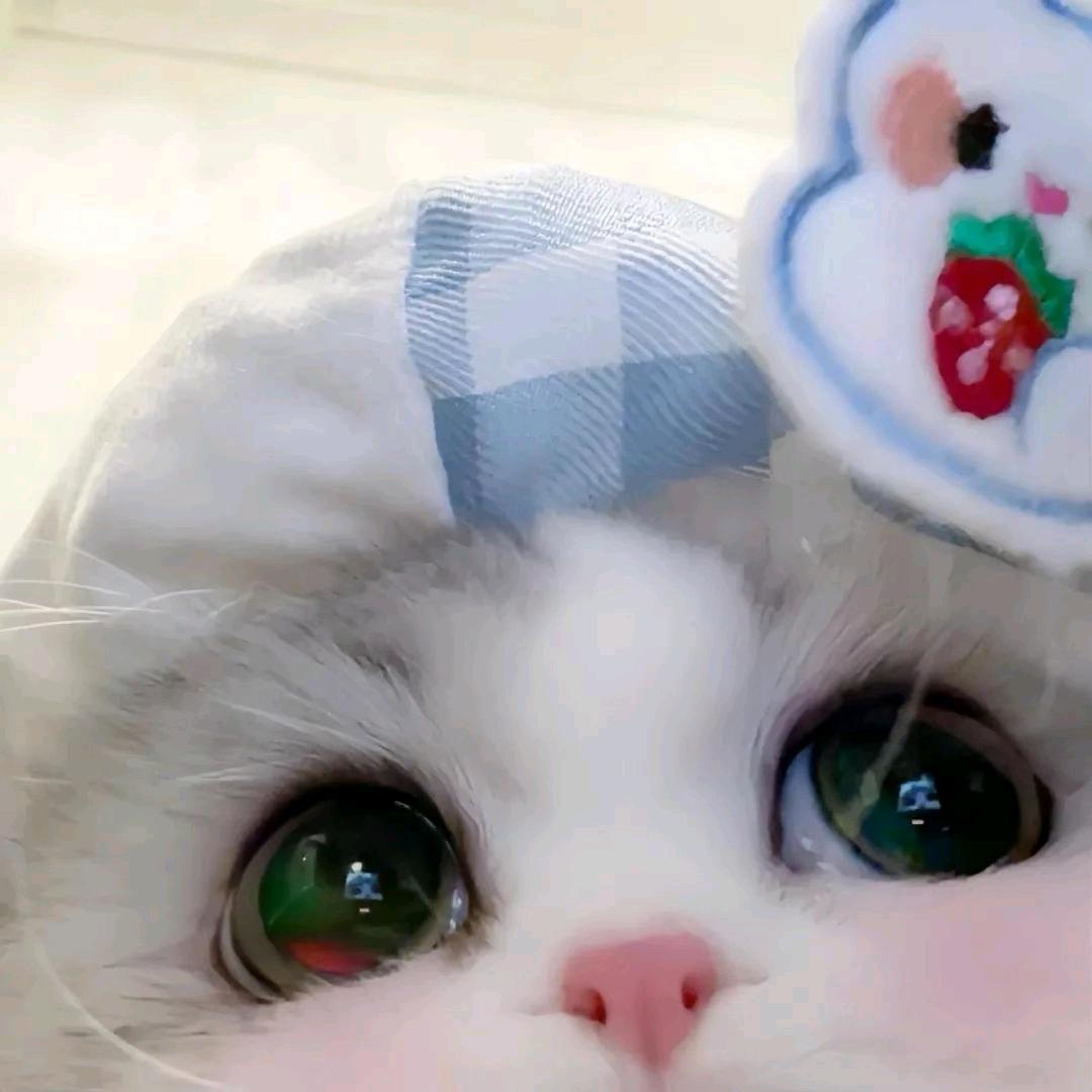 我亦飘零久