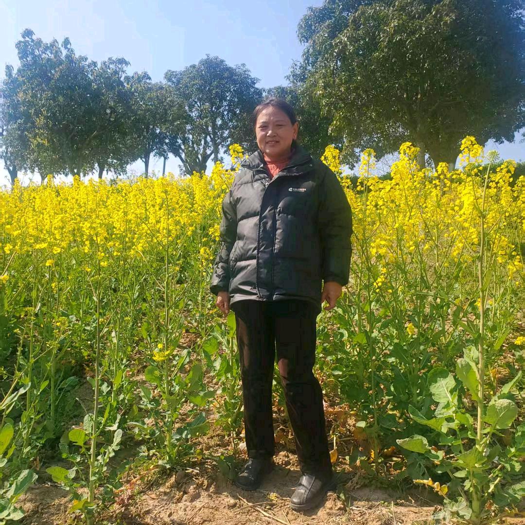 金竹姐(晚8点40首插)