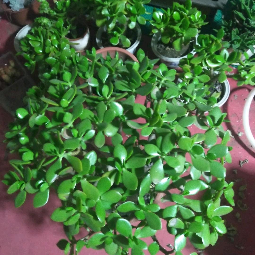 顺着标杆奔跑吧