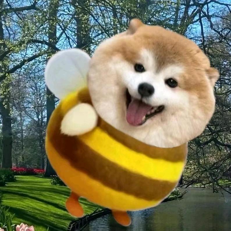蜜蜂狗