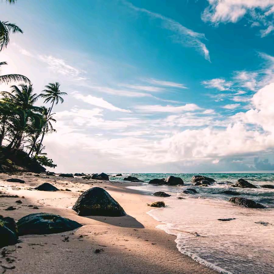 工地塔吊哥🏗林子