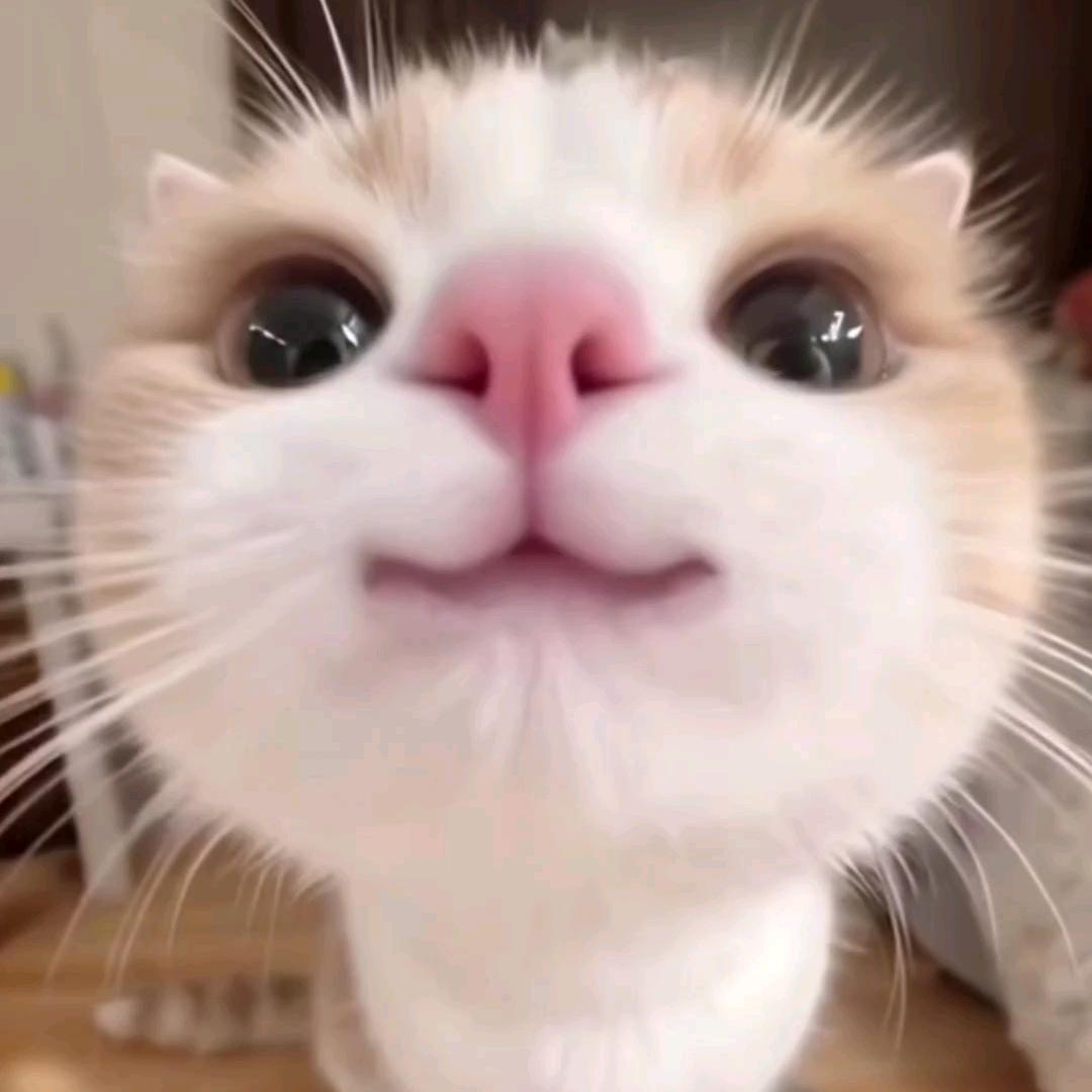 小瑄