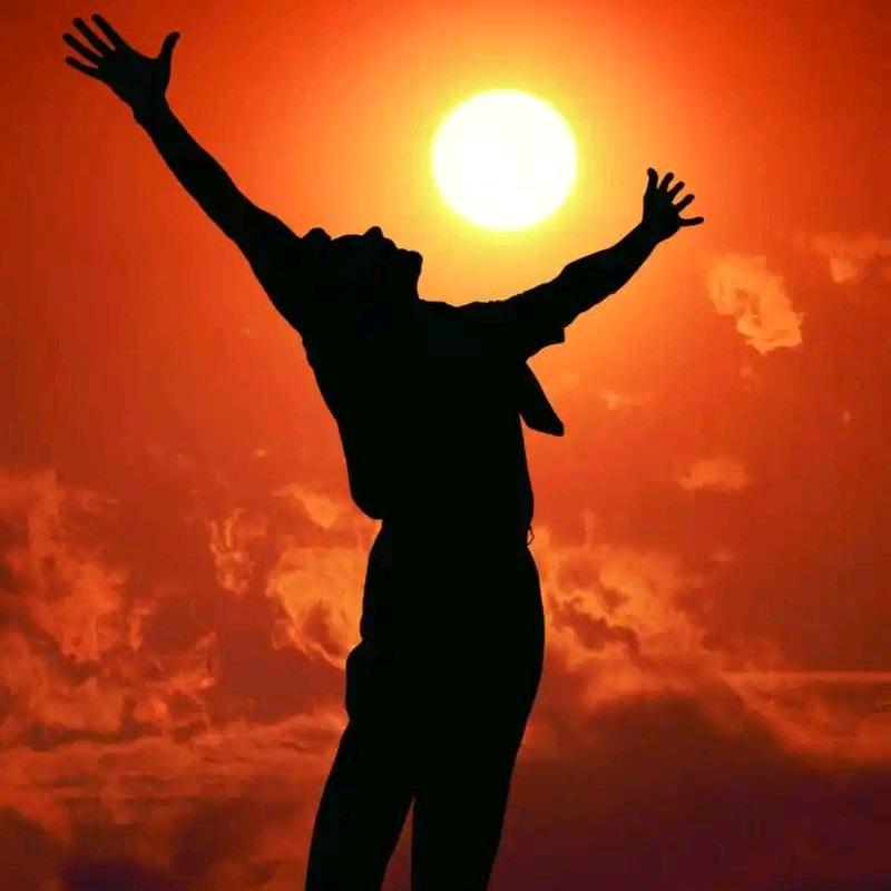 用户：暴君835210885613