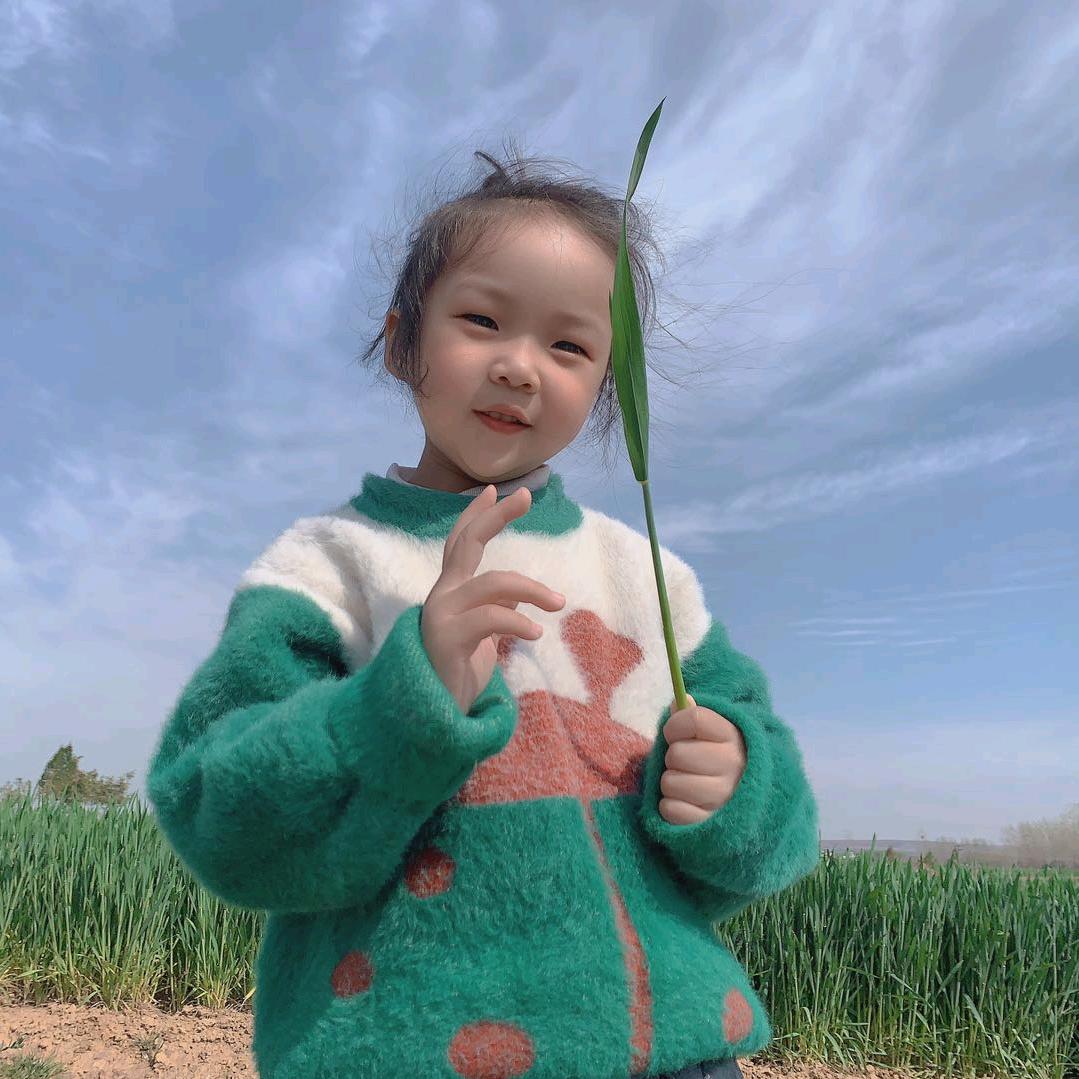 打不死的小强