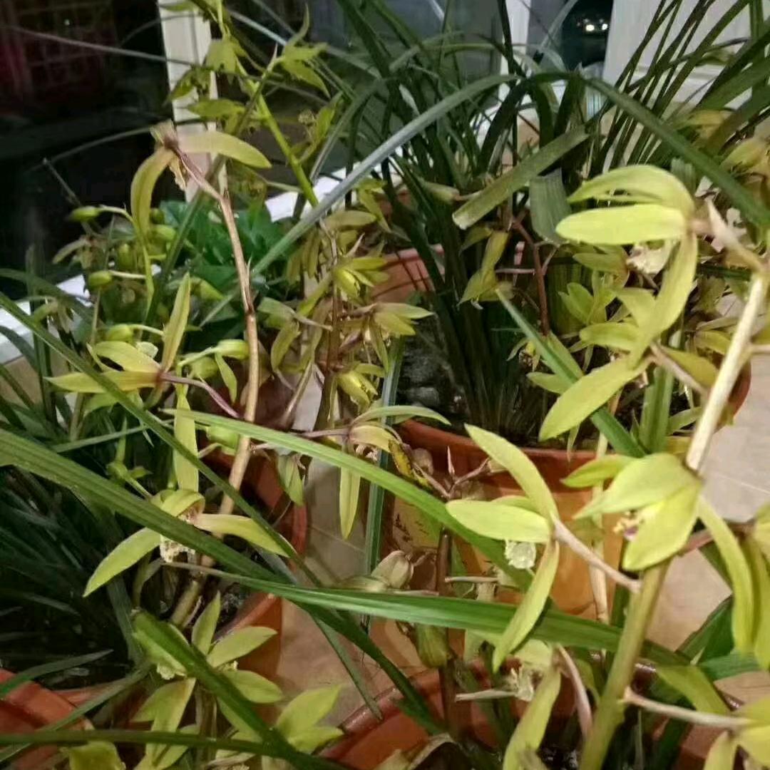 @段