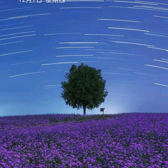 意苦思甜