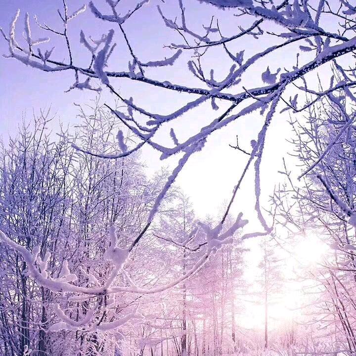 @🌹福杯满溢🌹