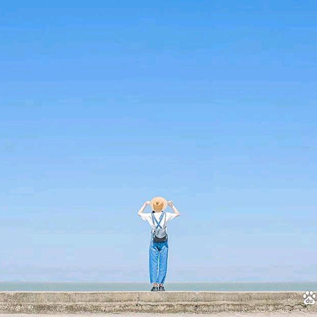 治愈心灵的树洞