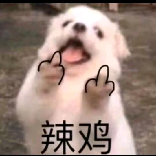 MRBaiShan（换个头像）头像