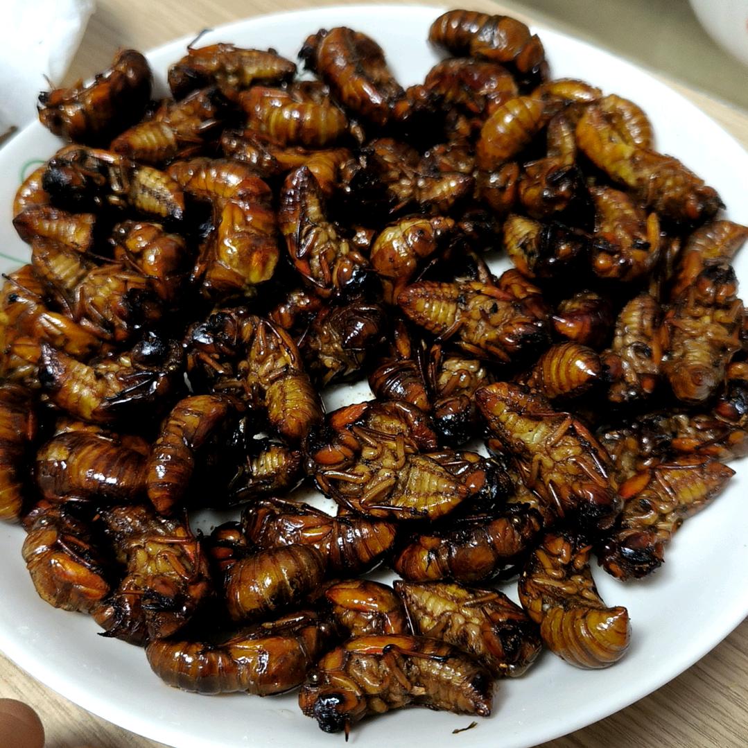 萧县小姐姐的日常生活