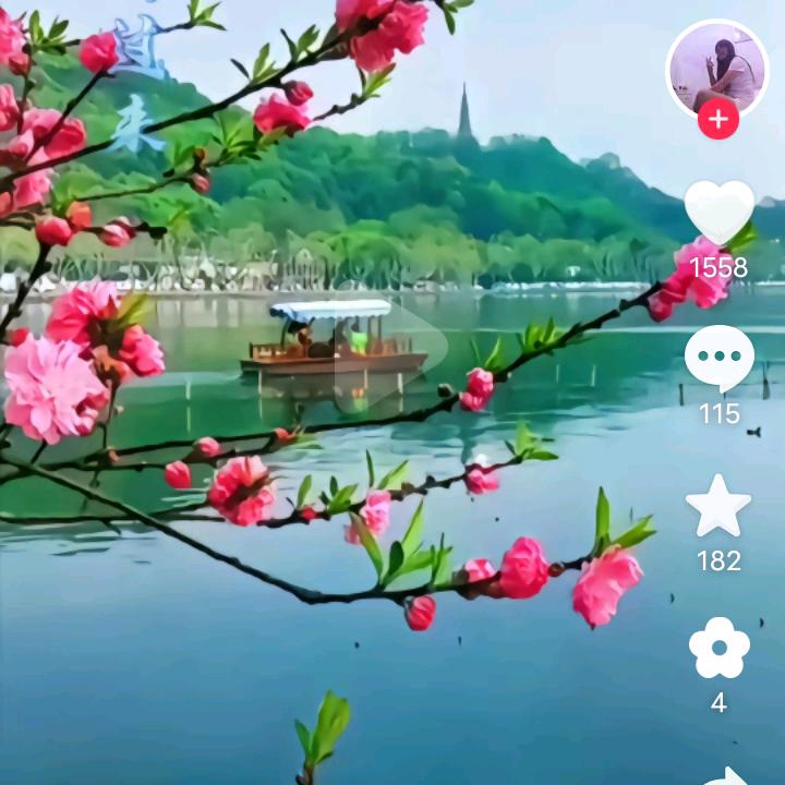 山东省。河泽市。成武县。孙寺镇。徐楼村