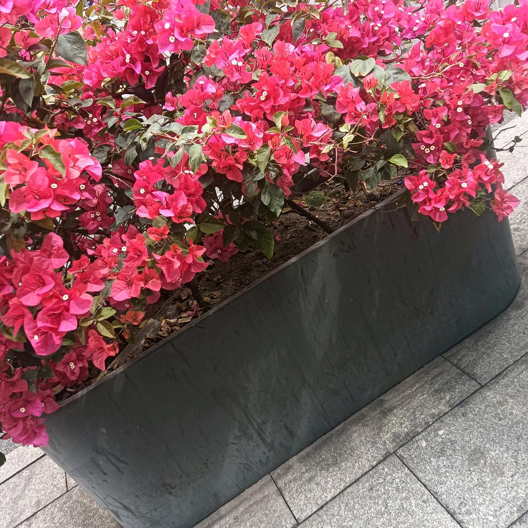 幸福快乐