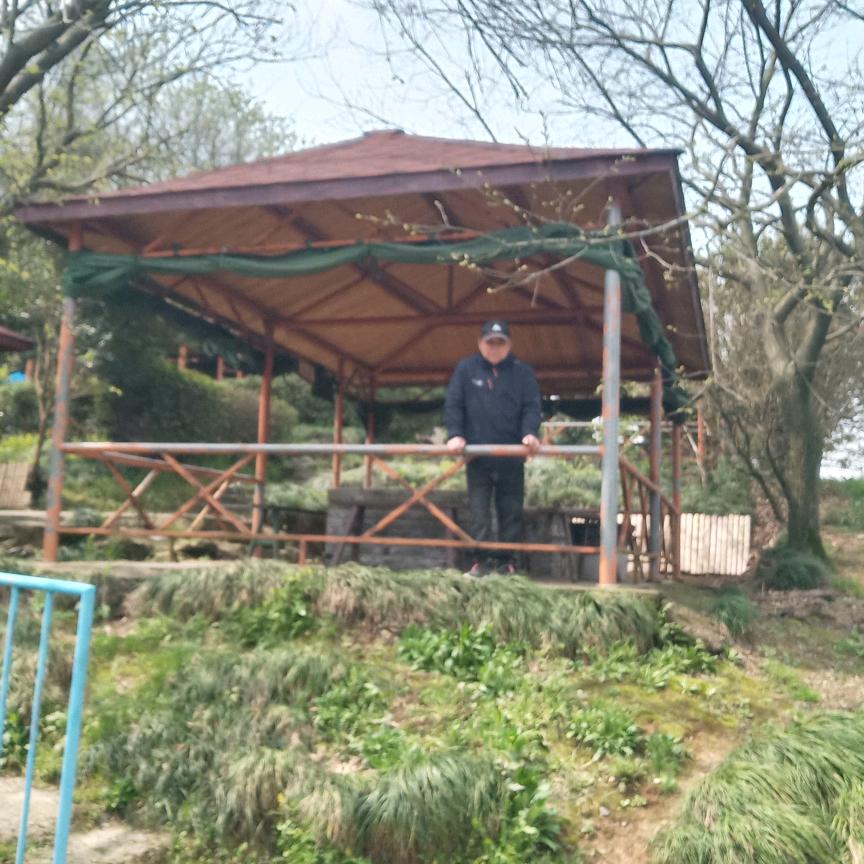 浪迹天涯只为你