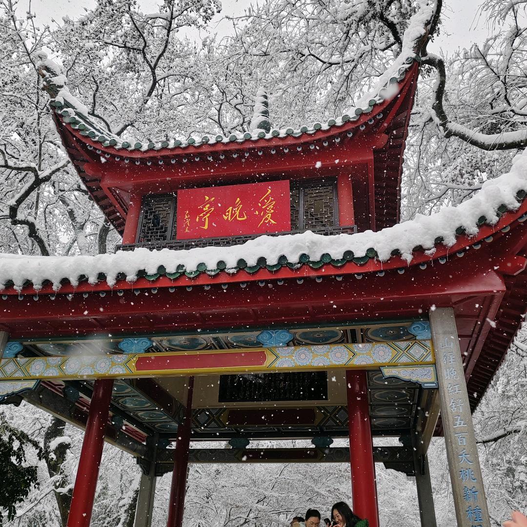 街头霸王ys