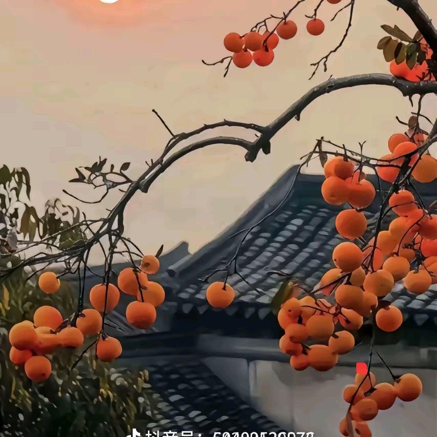 豪横