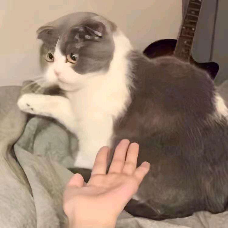 琨鹏