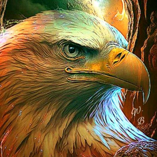 鹰🦅皇