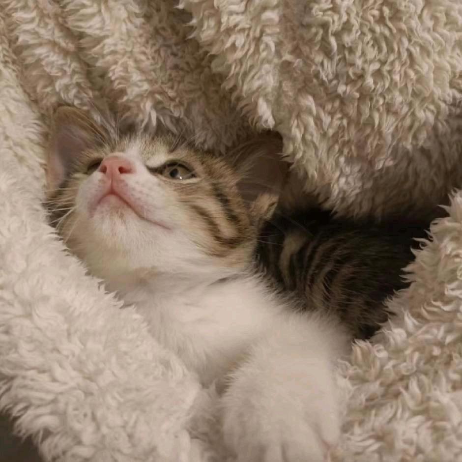 九玖熙（2拖3史上的第一人）lolm