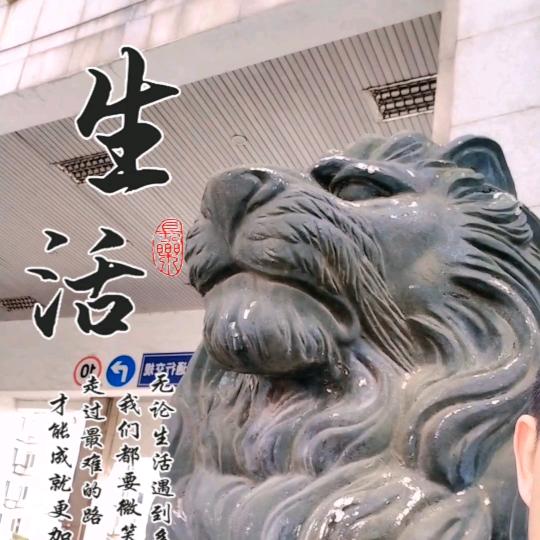 华中建设集团