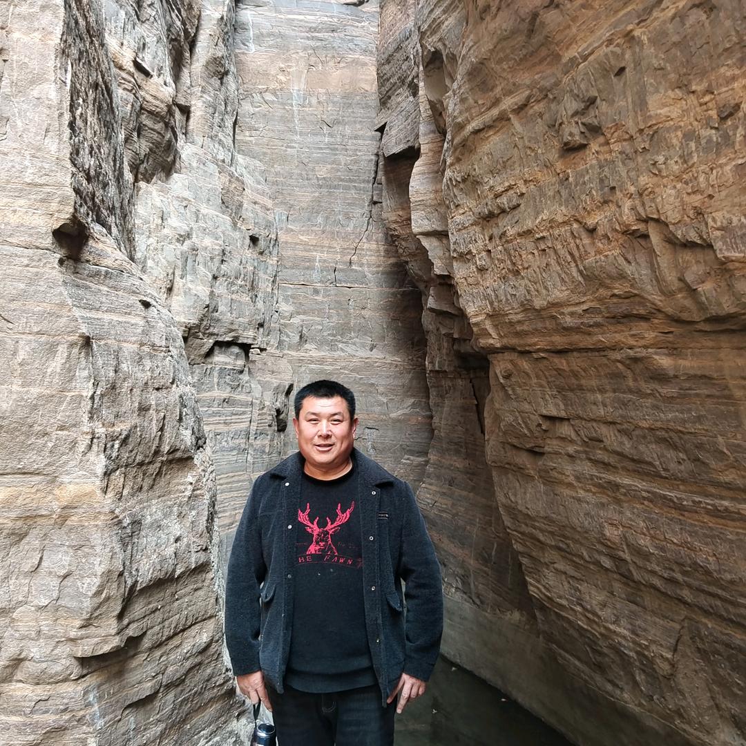 常年收购小麦玉米（大地丰收）