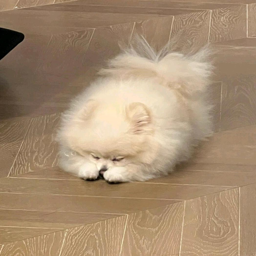 酸豆腐奶酪