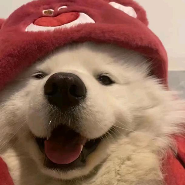 精致生活小铺Qm5