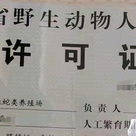 旅游蛇