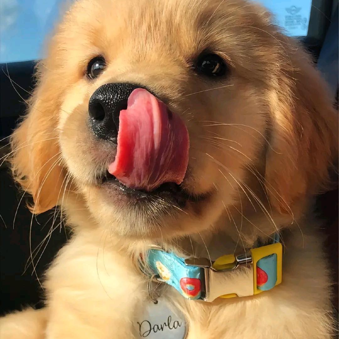 热心网友-奕南.