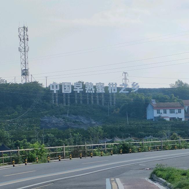 文昌果业，产地直发