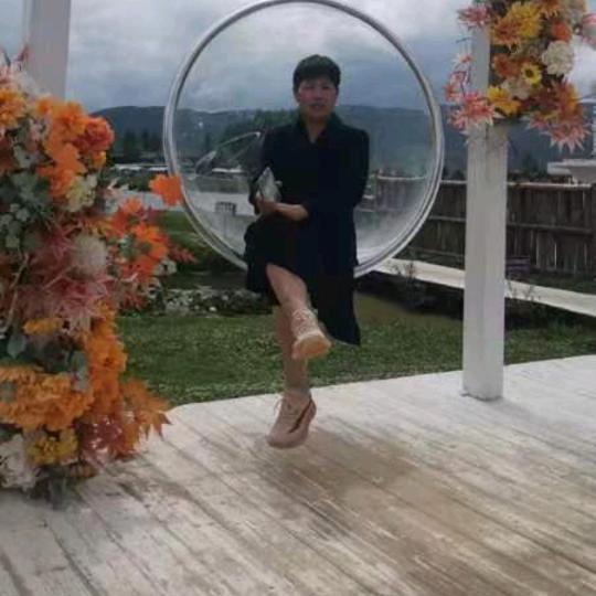 琴声悠扬