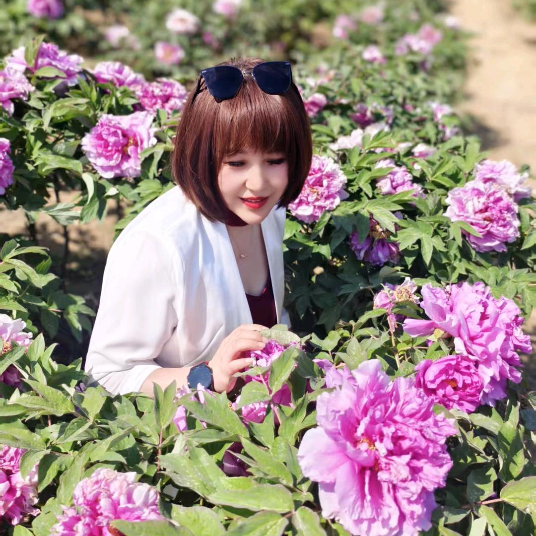 你是我的小苹果