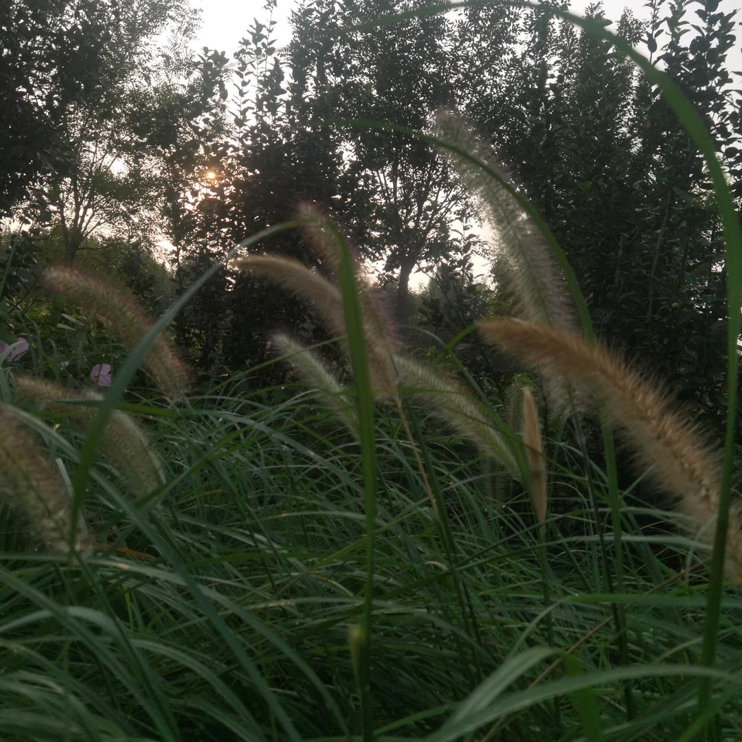 孟村百信鞋业广场（北门店）