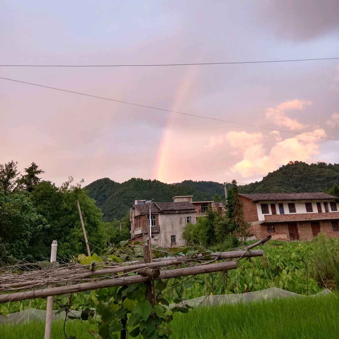 武夷晨曦