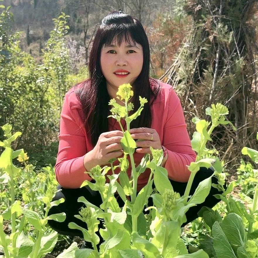 玲玲 山歌