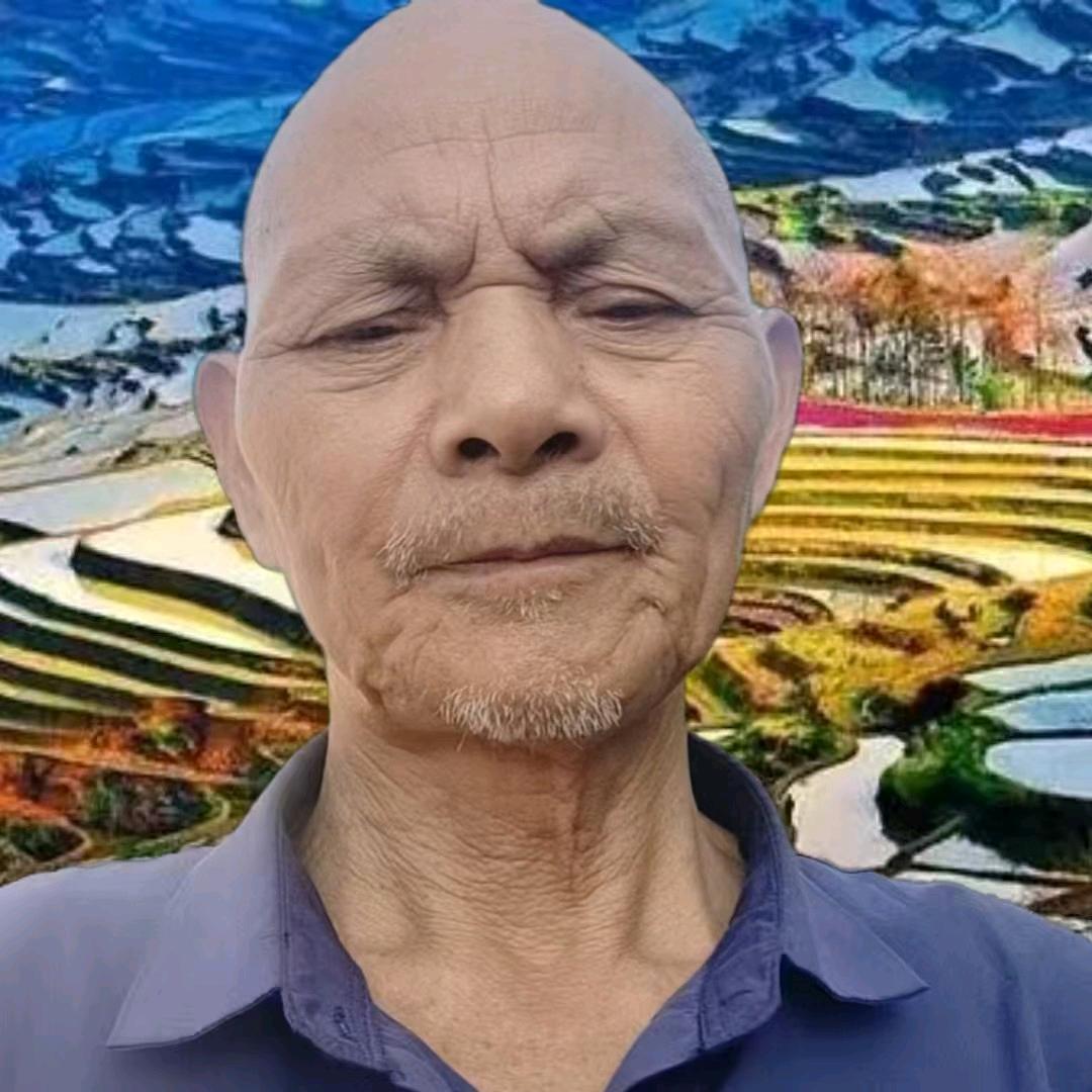 秦哥早晨