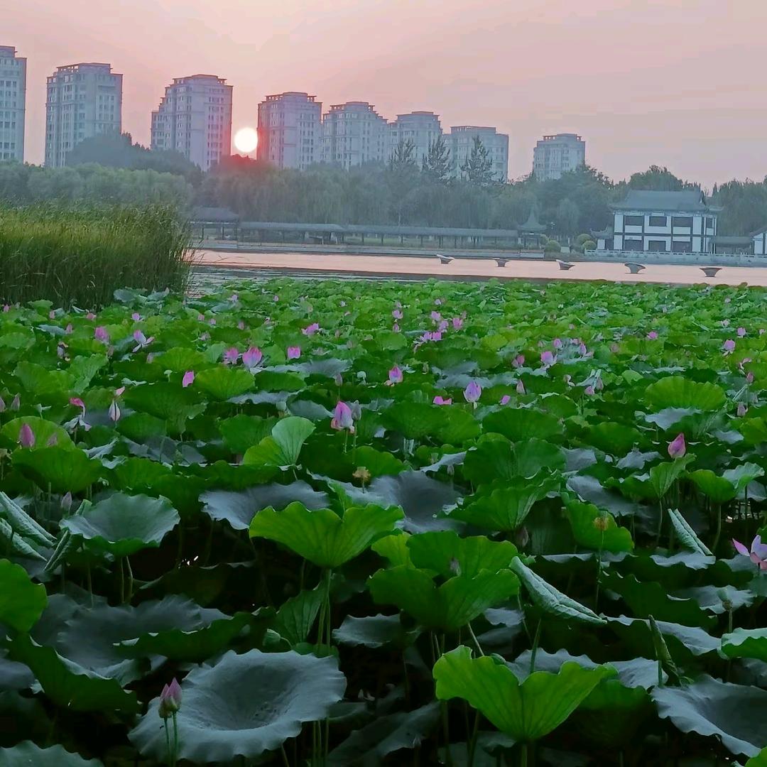 💞꧔ꦿ᭄别忘了爱自己꧔ꦿএ᭄