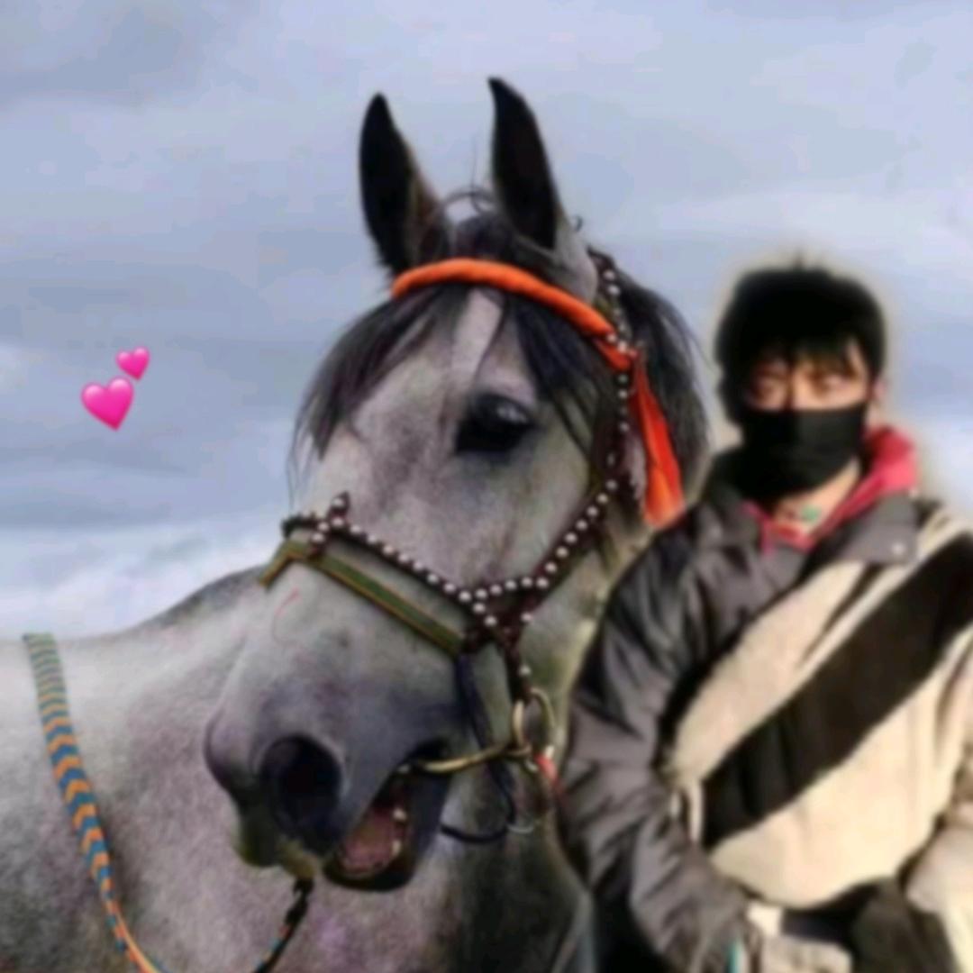 索.𝒍𝒐𝒗𝒆🗽