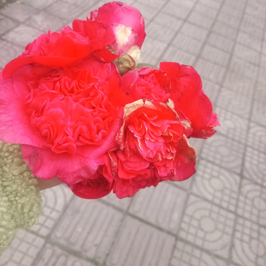 后悔