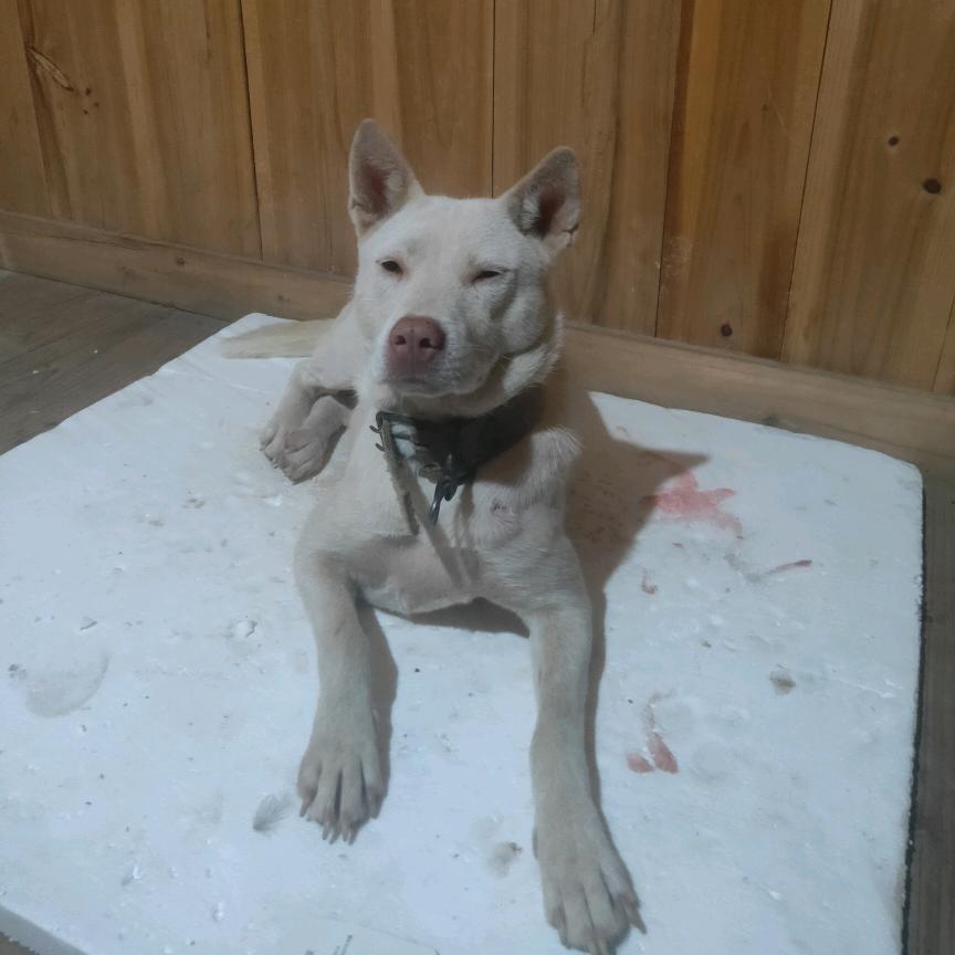 ꩵ仩岸姺斬嬑狆亾ꦙ