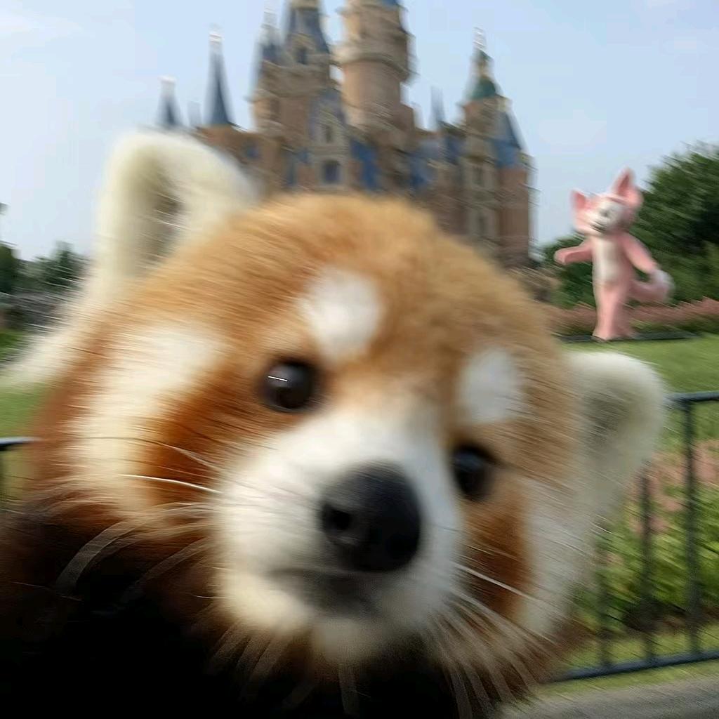 ，