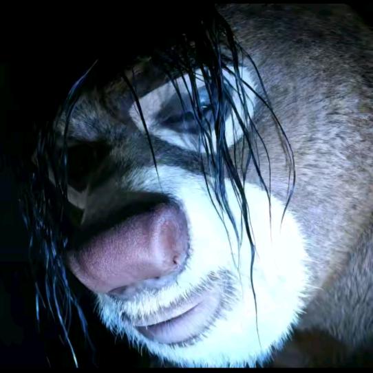 嚼劲捞汁想不出名字