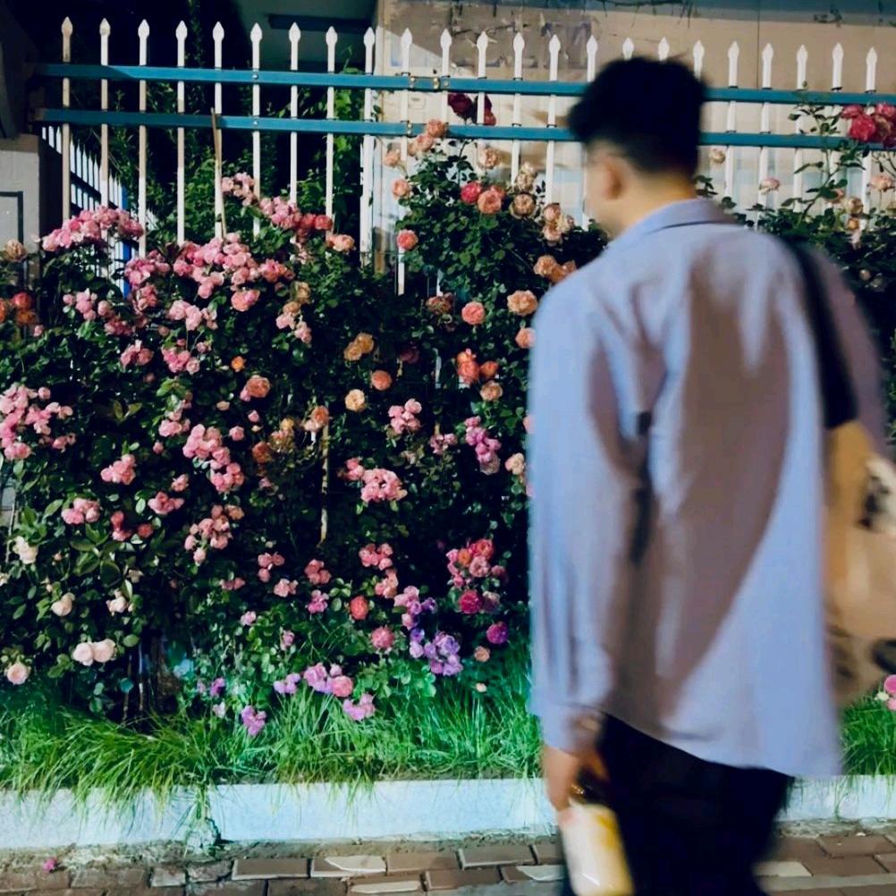 Dw大为