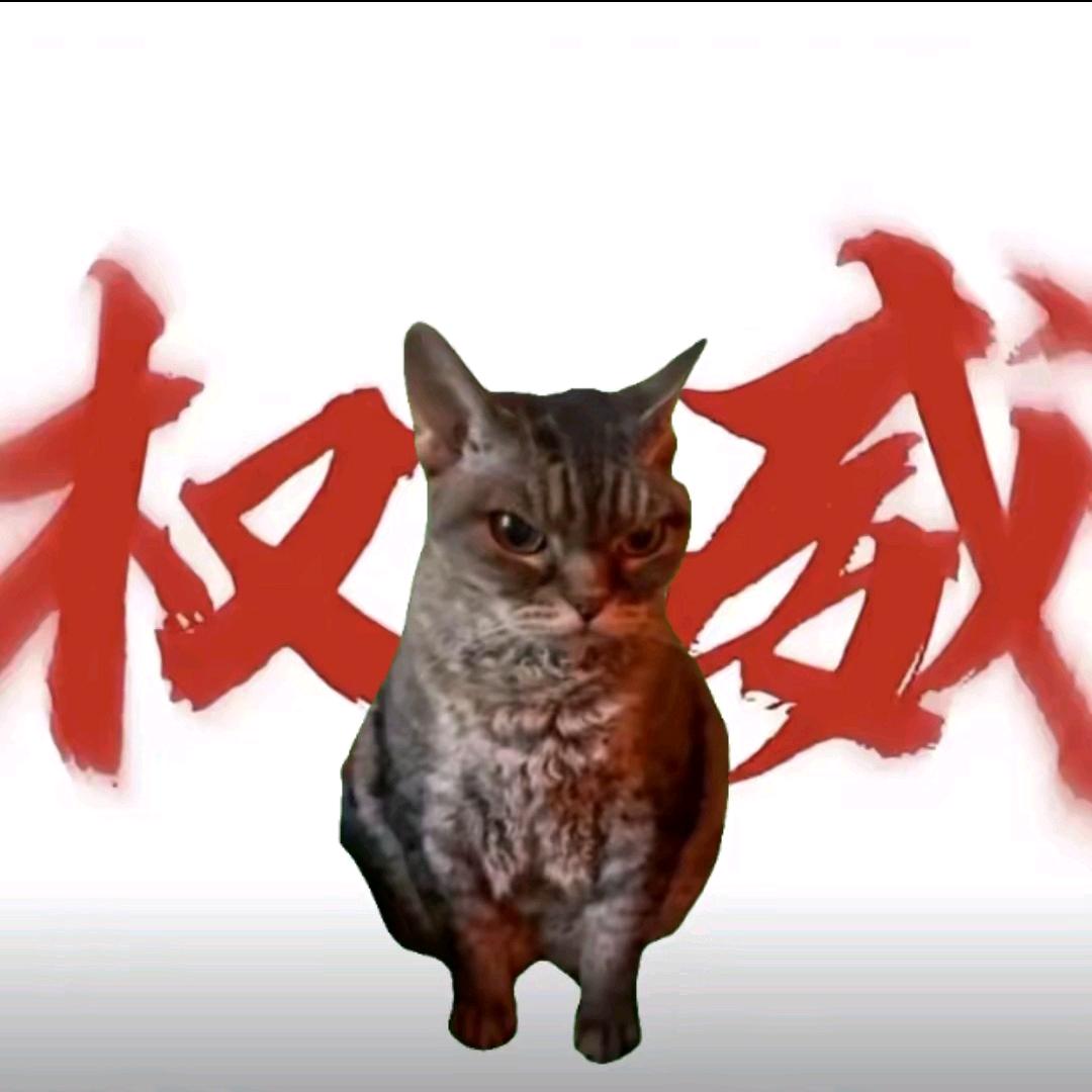 我的脸皮2