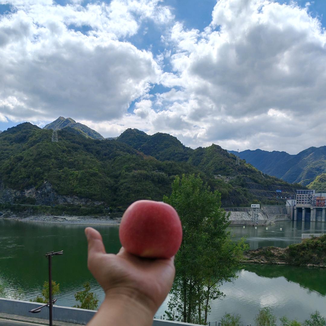 坡坡
